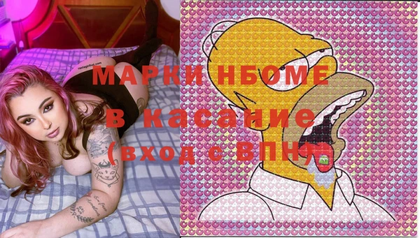соль ск Новозыбков