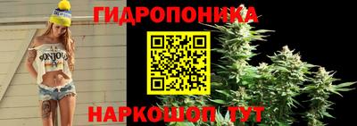 бошки Рязань