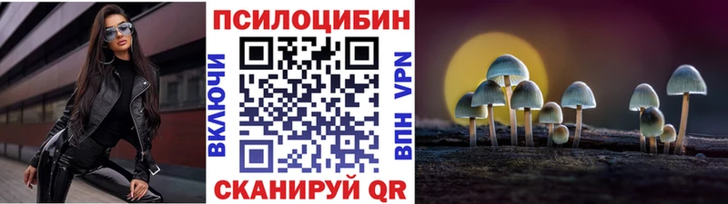 Псилоцибиновые грибы прущие грибы  сайты даркнета формула  Черногорск 